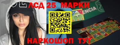 гидропоника Краснознаменск